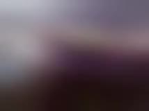 Webcam Model Gisapeka Videos