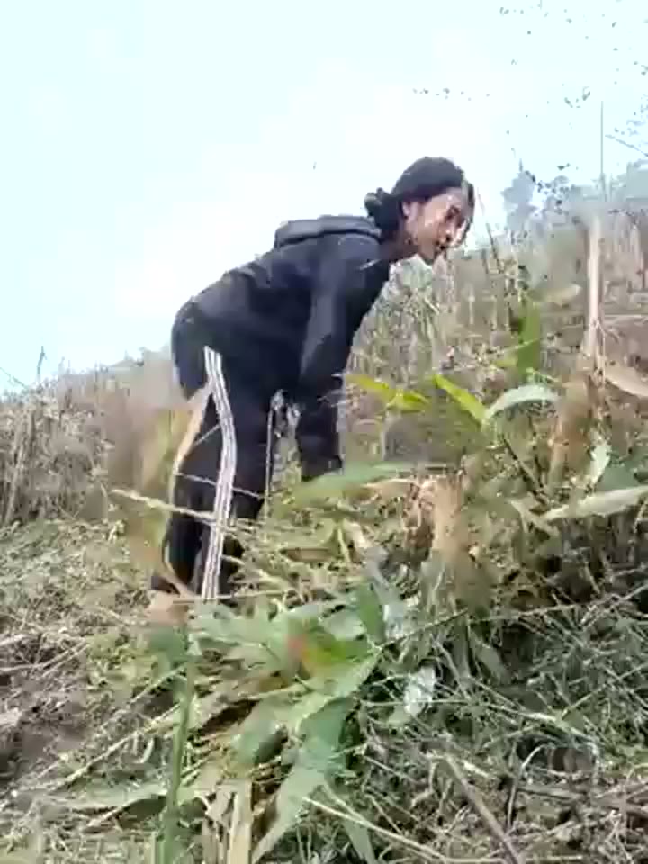 Webcam Model Hoa-tuylip Videos